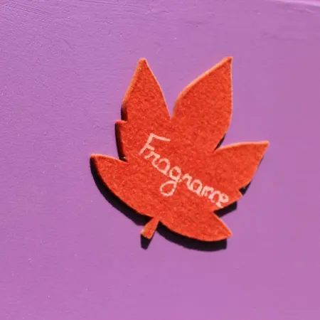 De Roux D'hotes Bragassargues