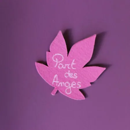 فندق مبيت وإفطار De Roux D'hotes Bragassargues