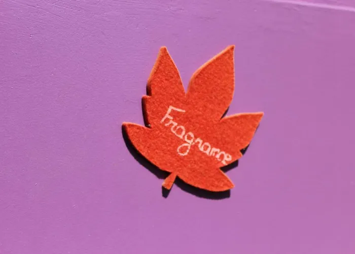 De Roux D'hotes Bragassargues